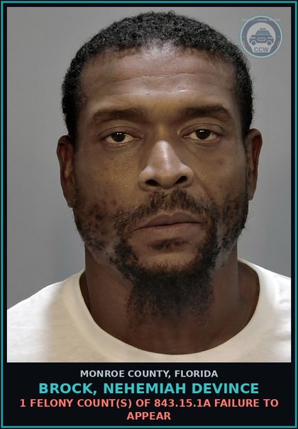 CCW arrest card for BROCK, NEHEMIAH DEVINCE in Monroe County: 1 Felony Count(s) of 843.15.1a FAILURE TO APPEAR