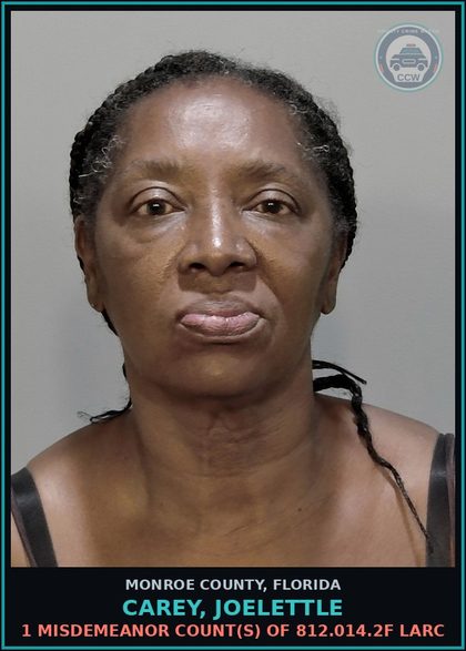 CCW arrest card for CAREY, JOELETTLE in Monroe County: 1 Misdemeanor Count(s) of 812.014.2f LARC