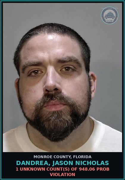 CCW arrest card for DANDREA, JASON NICHOLAS in Monroe County: 1 Unknown Count(s) of 948.06 PROB VIOLATION