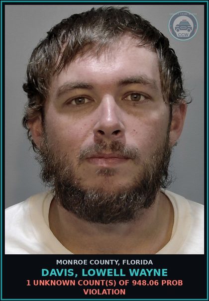 CCW arrest card for DAVIS, LOWELL WAYNE in Monroe County: 1 Unknown Count(s) of 948.06 PROB VIOLATION