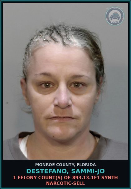CCW arrest card for DESTEFANO, SAMMI-JO in Monroe County: 1 Felony Count(s) of 893.13.1e1 SYNTH NARCOTIC-SELL