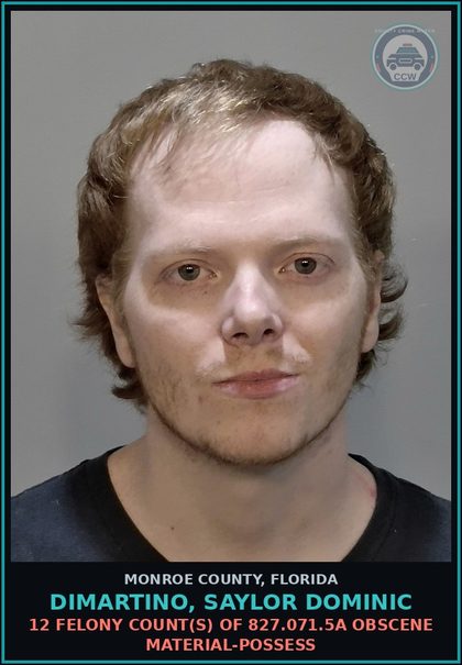 CCW arrest card for DIMARTINO, SAYLOR DOMINIC in Monroe County: 12 Felony Count(s) of 827.071.5a OBSCENE MATERIAL-POSSESS