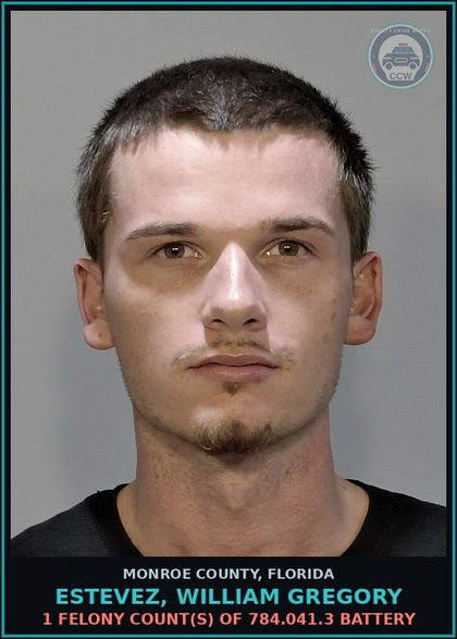 CCW arrest card for ESTEVEZ, WILLIAM GREGORY in Monroe County: 1 Felony Count(s) of 784.041.3 BATTERY
