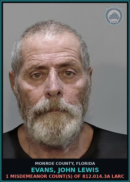 CCW arrest card for EVANS, JOHN LEWIS in Monroe County: 1 Misdemeanor Count(s) of 812.014.3a LARC