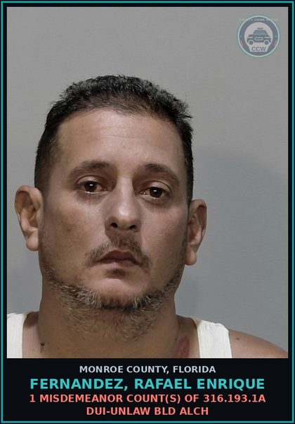 CCW arrest card for FERNANDEZ, RAFAEL ENRIQUE in Monroe County: 1 Misdemeanor Count(s) of 316.193.1a DUI-UNLAW BLD ALCH