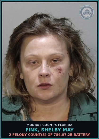 CCW arrest card for FINK, SHELBY MAY in Monroe County: 2 Felony Count(s) of 784.07.2b BATTERY