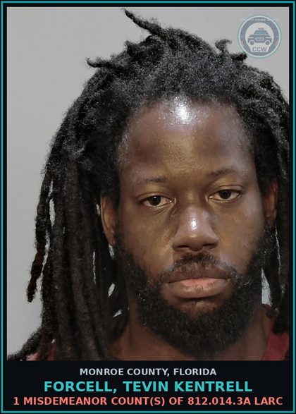 CCW arrest card for FORCELL, TEVIN KENTRELL in Monroe County: 1 Misdemeanor Count(s) of 812.014.3a LARC