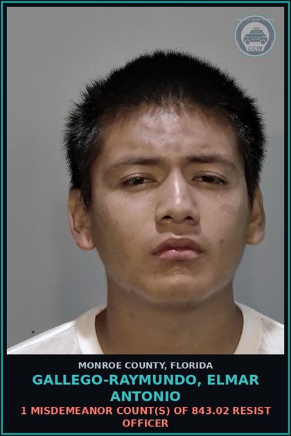 CCW arrest card for GALLEGO-RAYMUNDO, ELMAR ANTONIO in Monroe County: 1 Misdemeanor Count(s) of 843.02 RESIST OFFICER