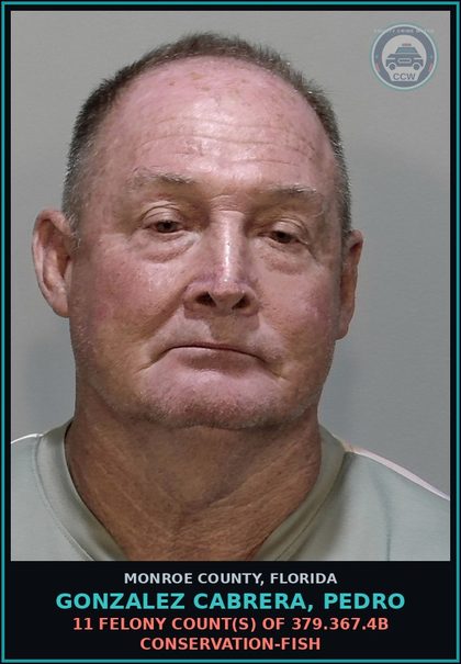 CCW arrest card for GONZALEZ CABRERA, PEDRO in Monroe County: 11 Felony Count(s) of 379.367.4b CONSERVATION-FISH