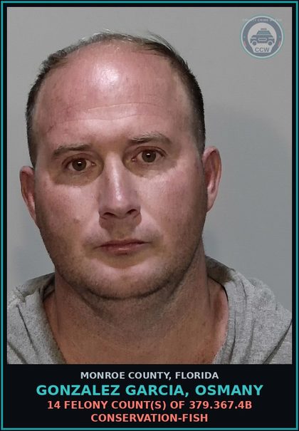 CCW arrest card for GONZALEZ GARCIA, OSMANY in Monroe County: 14 Felony Count(s) of 379.367.4b CONSERVATION-FISH