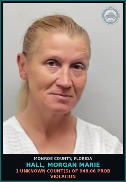 CCW arrest card for HALL, MORGAN MARIE in Monroe County: 1 Unknown Count(s) of 948.06 PROB VIOLATION