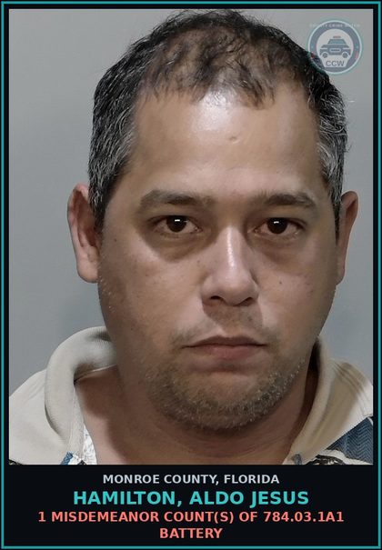CCW arrest card for HAMILTON, ALDO JESUS in Monroe County: 1 Misdemeanor Count(s) of 784.03.1a1 BATTERY