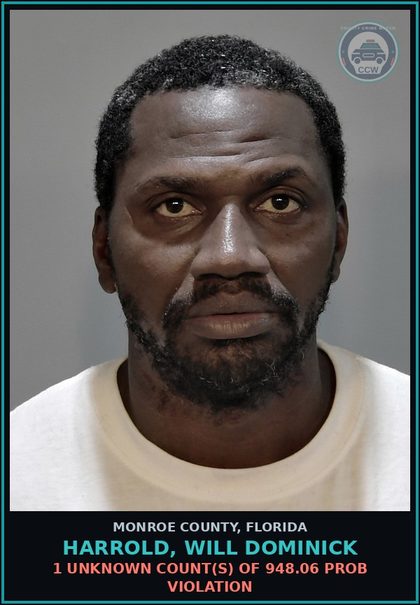 CCW arrest card for HARROLD, WILL DOMINICK in Monroe County: 1 Unknown Count(s) of 948.06 PROB VIOLATION