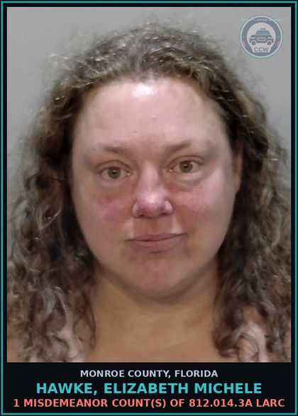CCW arrest card for HAWKE, ELIZABETH MICHELE in Monroe County: 1 Misdemeanor Count(s) of 812.014.3a LARC