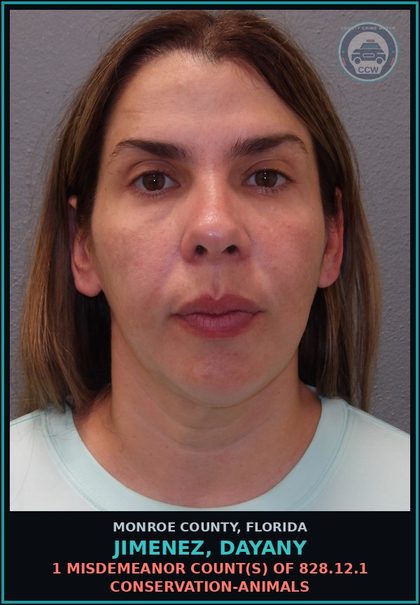CCW arrest card for JIMENEZ, DAYANY in Monroe County: 1 Misdemeanor Count(s) of 828.12.1 CONSERVATION-ANIMALS