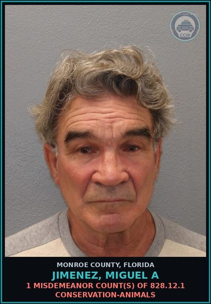 CCW arrest card for JIMENEZ, MIGUEL A in Monroe County: 1 Misdemeanor Count(s) of 828.12.1 CONSERVATION-ANIMALS