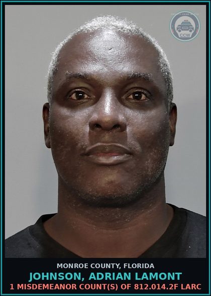CCW arrest card for JOHNSON, ADRIAN LAMONT in Monroe County: 1 Misdemeanor Count(s) of 812.014.2f LARC