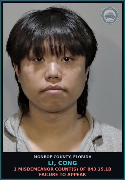 CCW arrest card for LI, CONG in Monroe County: 1 Misdemeanor Count(s) of 843.15.1b FAILURE TO APPEAR