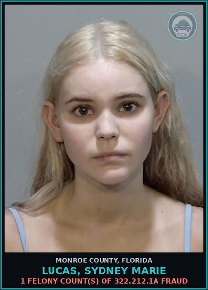 CCW arrest card for LUCAS, SYDNEY MARIE in Monroe County: 1 Felony Count(s) of 322.212.1a FRAUD
