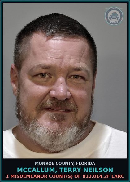 CCW arrest card for MCCALLUM, TERRY NEILSON in Monroe County: 1 Misdemeanor Count(s) of 812.014.2f LARC