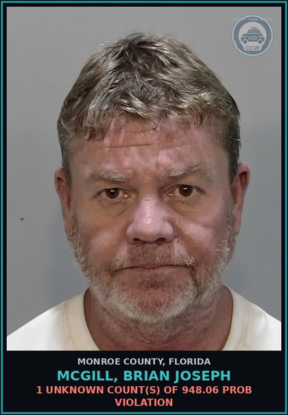 CCW arrest card for MCGILL, BRIAN JOSEPH in Monroe County: 1 Unknown Count(s) of 948.06 PROB VIOLATION