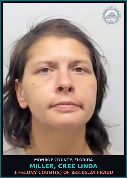 CCW arrest card for MILLER, CREE LINDA in Monroe County: 1 Felony Count(s) of 812.014.2c1 LARC