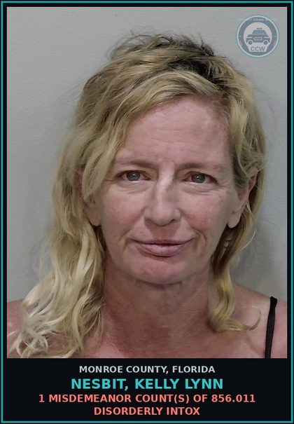 CCW arrest card for NESBIT, KELLY LYNN in Monroe County: 1 Misdemeanor Count(s) of 856.011 DISORDERLY INTOX