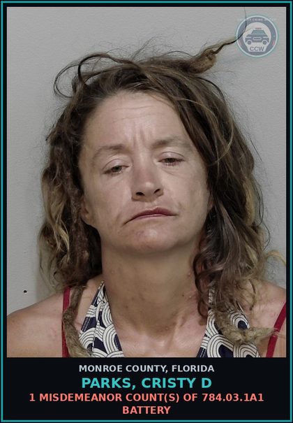 CCW arrest card for PARKS, CRISTY D in Monroe County: 1 Misdemeanor Count(s) of 784.03.1a1 BATTERY
