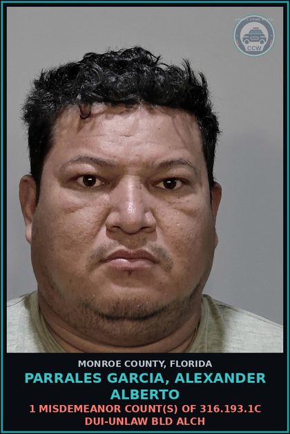 CCW arrest card for PARRALES GARCIA, ALEXANDER ALBERTO in Monroe County: 1 Misdemeanor Count(s) of 316.193.1c DUI-UNLAW BLD ALCH