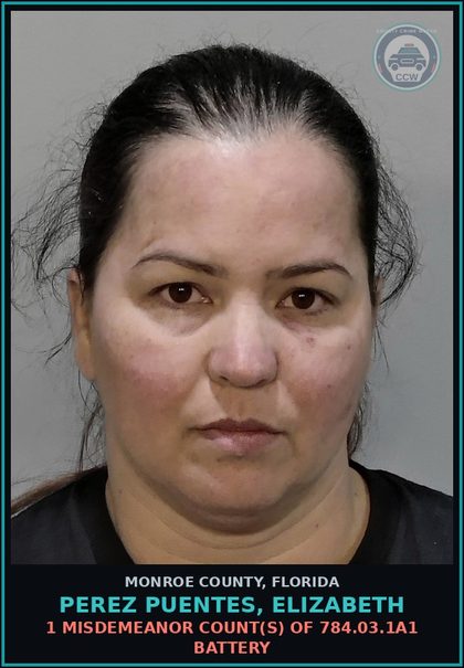 CCW arrest card for PEREZ PUENTES, ELIZABETH in Monroe County: 1 Misdemeanor Count(s) of 784.03.1a1 BATTERY