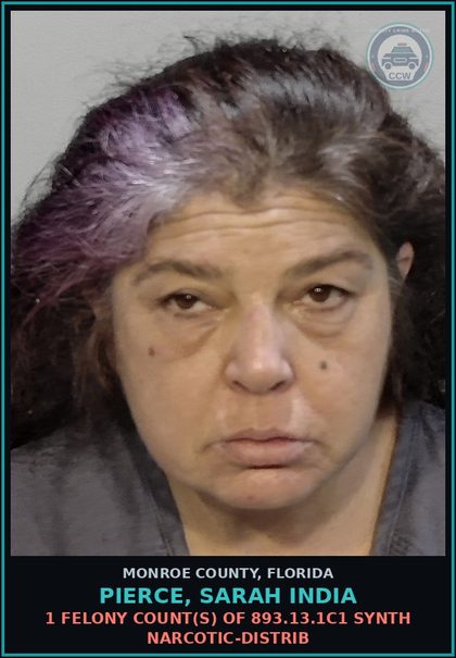CCW arrest card for PIERCE, SARAH INDIA in Monroe County: 1 Felony Count(s) of 893.13.1c1 SYNTH NARCOTIC-DISTRIB