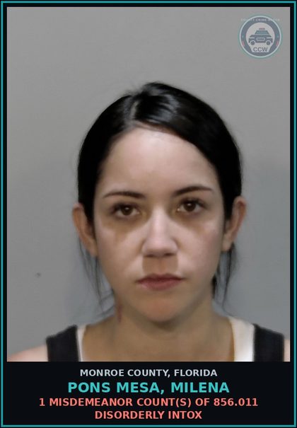 CCW arrest card for PONS MESA, MILENA in Monroe County: 1 Misdemeanor Count(s) of 856.011 DISORDERLY INTOX