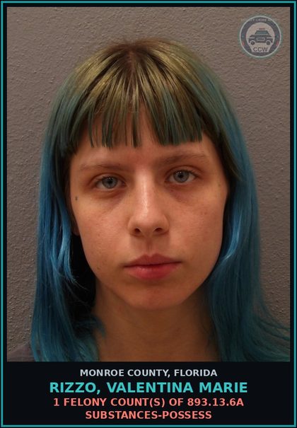 CCW arrest card for RIZZO, VALENTINA MARIE in Monroe County: 1 Felony Count(s) of 893.13.6a DRUGS-POSSESS