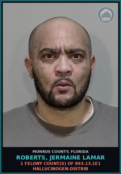 CCW arrest card for ROBERTS, JERMAINE LAMAR in Monroe County: 1 Felony Count(s) of 893.13.1e1 HALLUCINOGEN-DISTRIB