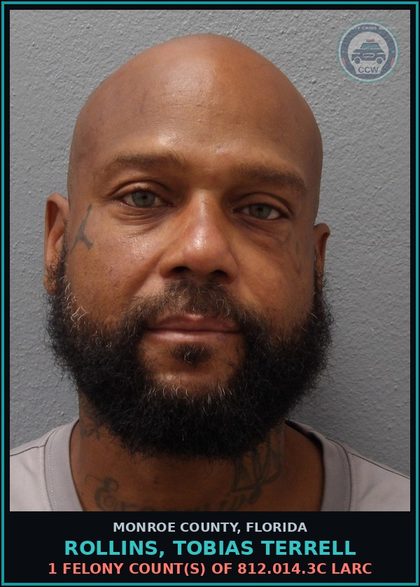 CCW arrest card for ROLLINS, TOBIAS TERRELL in Monroe County: 1 Unknown Count(s) of 948.06 PROB VIOLATION
