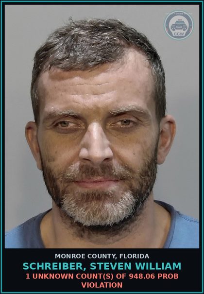 CCW arrest card for SCHREIBER, STEVEN WILLIAM in Monroe County: 1 Unknown Count(s) of 948.06 PROB VIOLATION