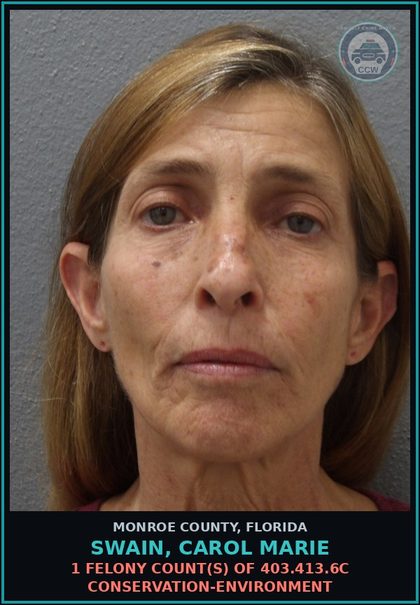 CCW arrest card for SWAIN, CAROL MARIE in Monroe County: 1 Felony Count(s) of 403.413.6c CONSERVATION-ENVIRONMENT