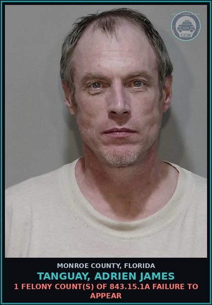 CCW arrest card for TANGUAY, ADRIEN JAMES in Monroe County: 1 Felony Count(s) of 843.15.1a FAILURE TO APPEAR
