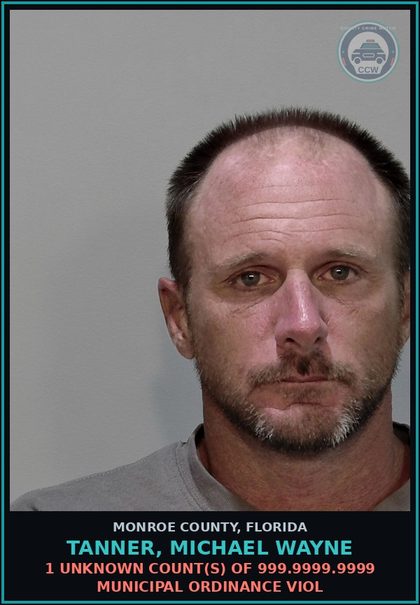 CCW arrest card for TANNER, MICHAEL WAYNE in Monroe County: 1 Unknown Count(s) of 999.9999.9999 MUNICIPAL ORDINANCE VIOL