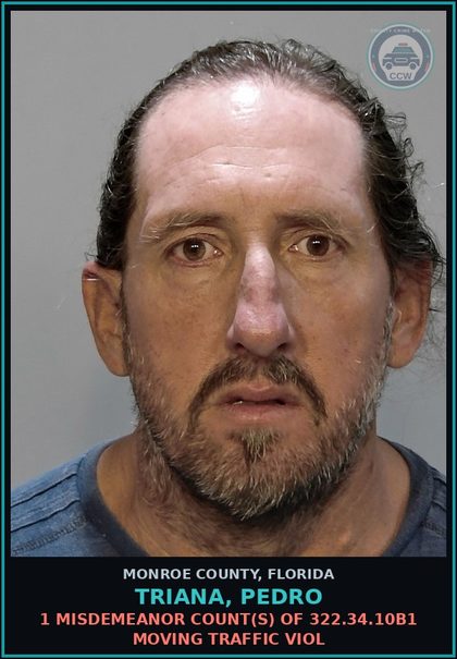 CCW arrest card for TRIANA, PEDRO in Monroe County: 1 Misdemeanor Count(s) of 322.34.10b1 MOVING TRAFFIC VIOL