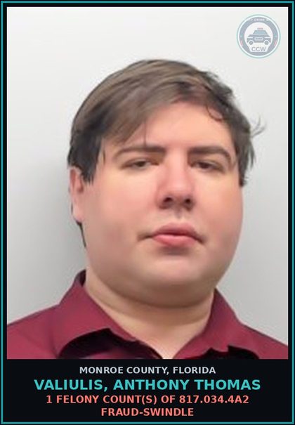 CCW arrest card for VALIULIS, ANTHONY THOMAS in Monroe County: 1 Felony Count(s) of 812.014.2b1 LARC