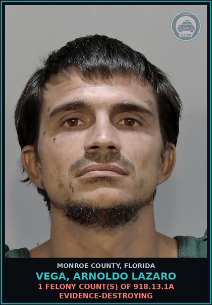 CCW arrest card for VEGA, ARNOLDO LAZARO in Monroe County: 1 Felony Count(s) of 918.13.1a EVIDENCE-DESTROYING