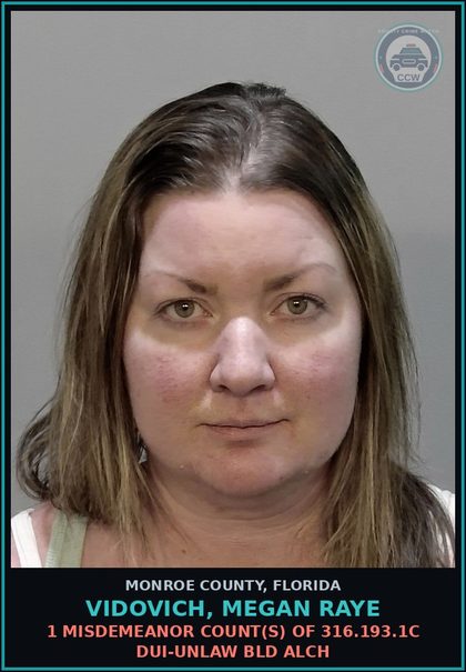 CCW arrest card for VIDOVICH, MEGAN RAYE in Monroe County: 1 Misdemeanor Count(s) of 316.193.1c DUI-UNLAW BLD ALCH
