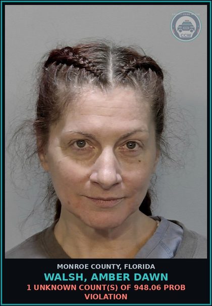 CCW arrest card for WALSH, AMBER DAWN in Monroe County: 1 Unknown Count(s) of 948.06 PROB VIOLATION