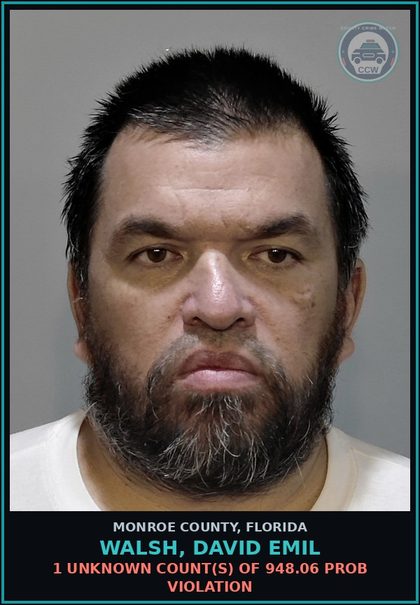 CCW arrest card for WALSH, DAVID EMIL in Monroe County: 1 Unknown Count(s) of 948.06 PROB VIOLATION