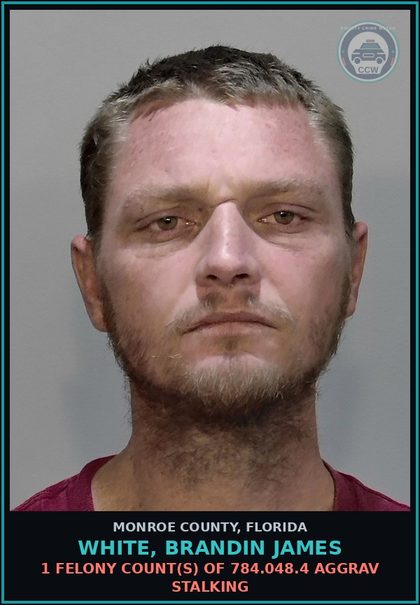 CCW arrest card for WHITE, BRANDIN JAMES in Monroe County: 1 Felony Count(s) of 784.048.4 AGGRAV STALKING