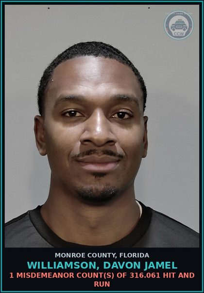 CCW arrest card for WILLIAMSON, DAVON JAMEL in Monroe County: 1 Misdemeanor Count(s) of 316.061 HIT AND RUN
