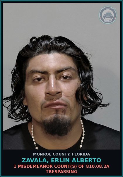 CCW arrest card for ZAVALA, ERLIN ALBERTO in Monroe County: 1 Misdemeanor Count(s) of 812.014.3a LARC