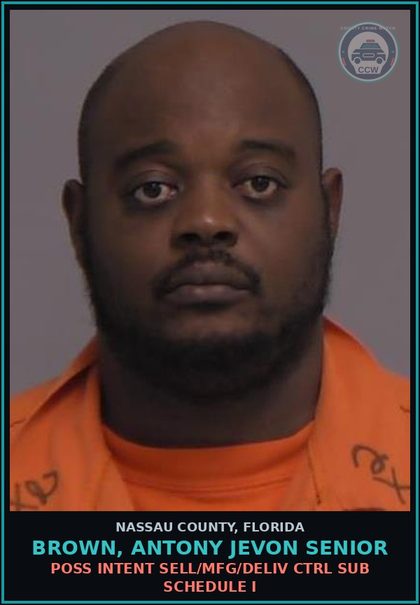 CCW arrest card for BROWN, ANTONY JEVON Senior in Nassau County: POSS INTENT SELL/MFG/DELIV CTRL SUB SCHEDULE I