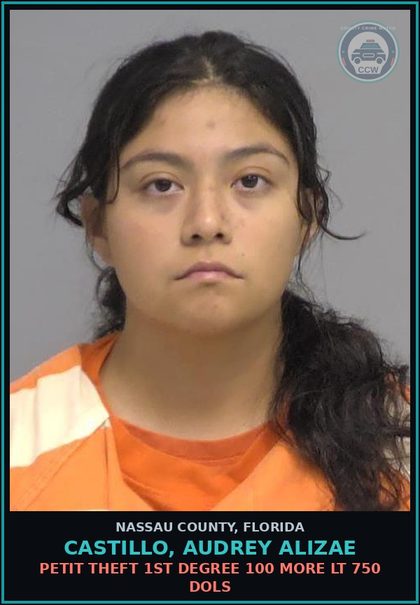 CCW arrest card for CASTILLO, AUDREY ALIZAE in Nassau County: PETIT THEFT 1ST DEGREE 100 MORE LT 750 DOLS